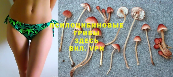 а пвп мука Краснослободск