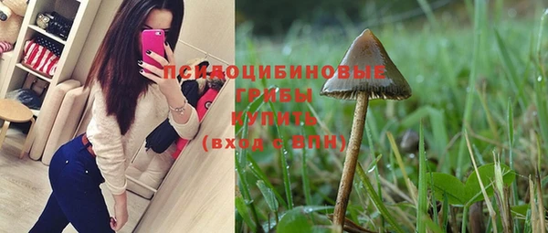 а пвп мука Краснослободск