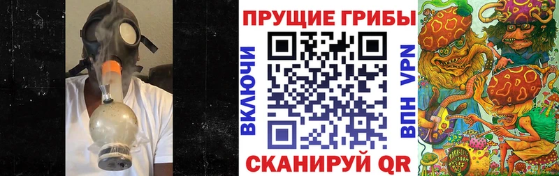 Псилоцибиновые грибы Cubensis  mega ссылки  Яранск  закладки 